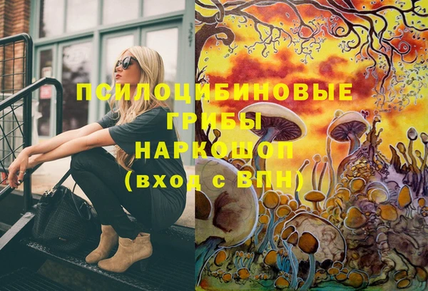 прущие крисы Горно-Алтайск