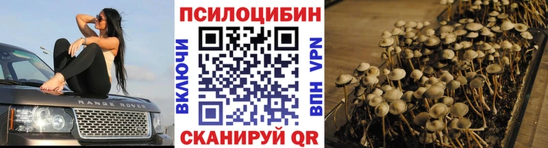 Галлюциногенные грибы Psilocybine cubensis  Купить  Лысково 